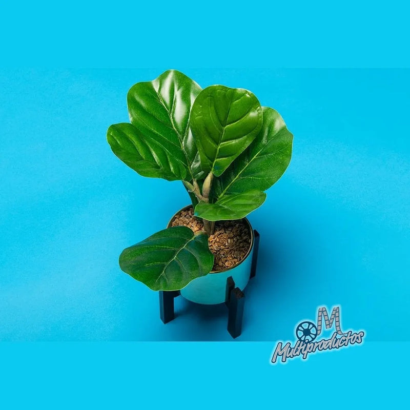 Cargue la imagen en el visor de la galería, CICLORAMA Nassau #6 DE PAPEL 2.72m x 11m